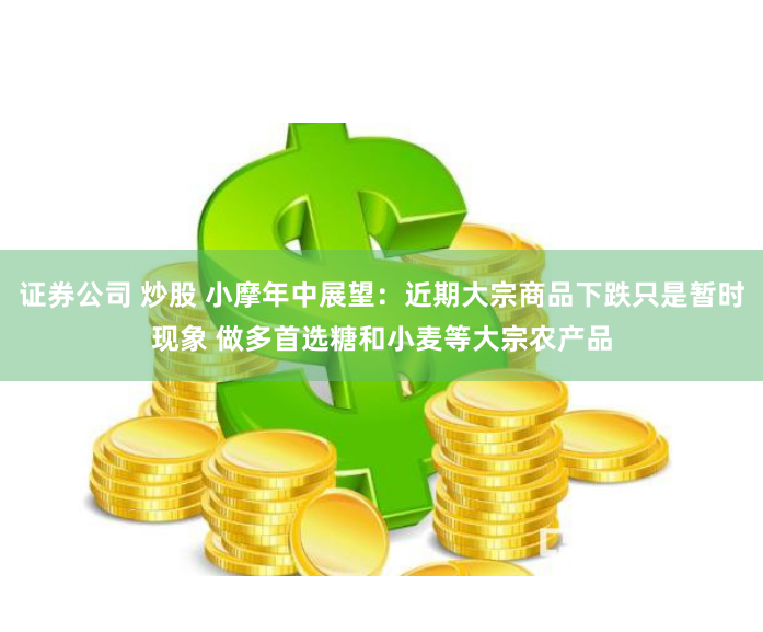 证券公司 炒股 小摩年中展望：近期大宗商品下跌只是暂时现象 做多首选糖和小麦等大宗农产品
