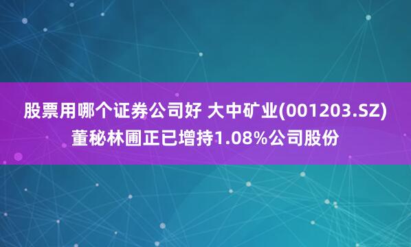 股票用哪个证券公司好 大中矿业(001203.SZ)董秘林圃正已增持1.08%公司股份