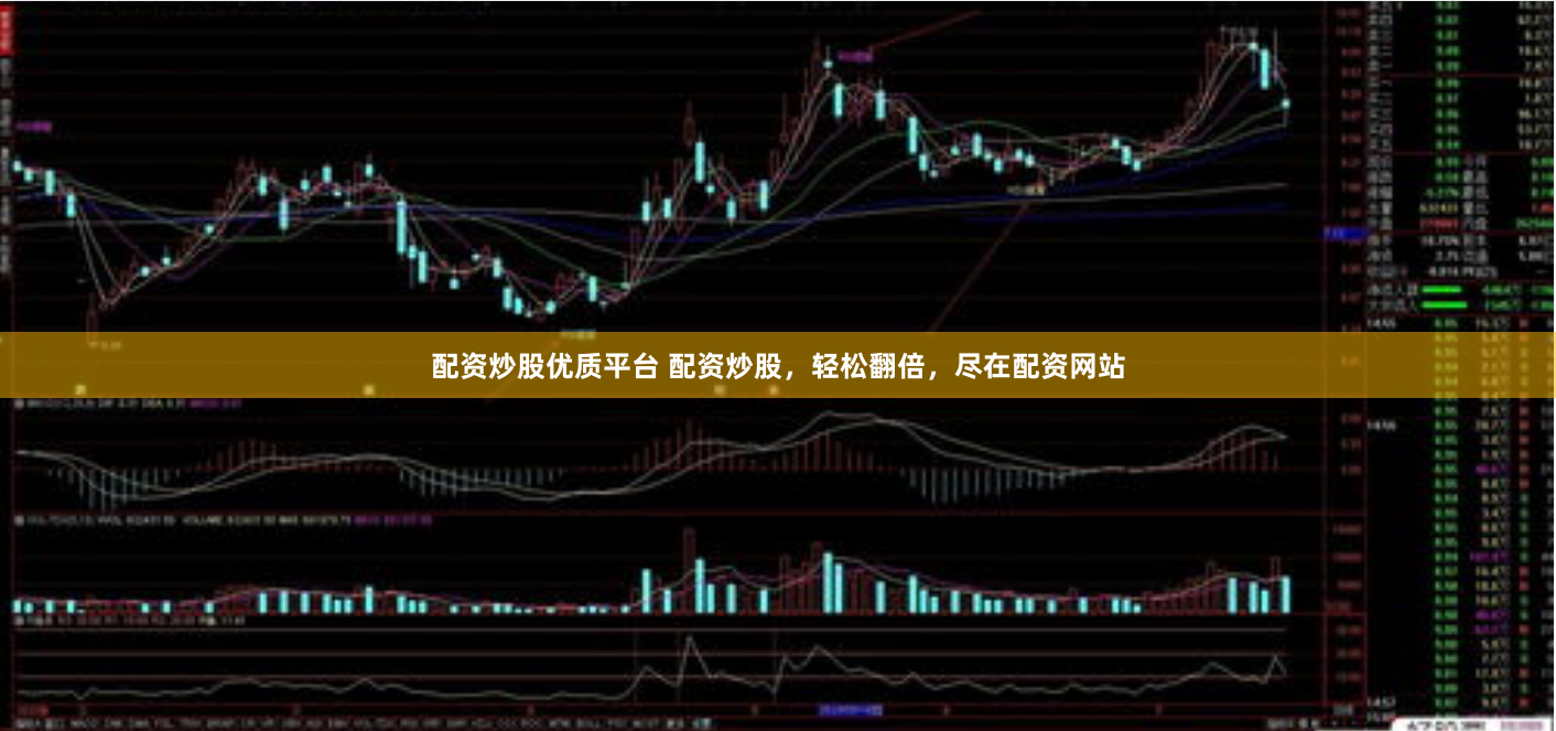 配资炒股优质平台 配资炒股，轻松翻倍，尽在配资网站