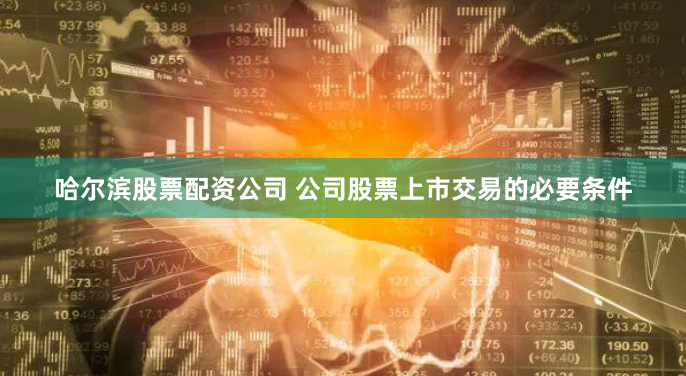 哈尔滨股票配资公司 公司股票上市交易的必要条件